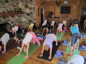 Stone Turtle Yoga